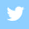 Twitter Icon